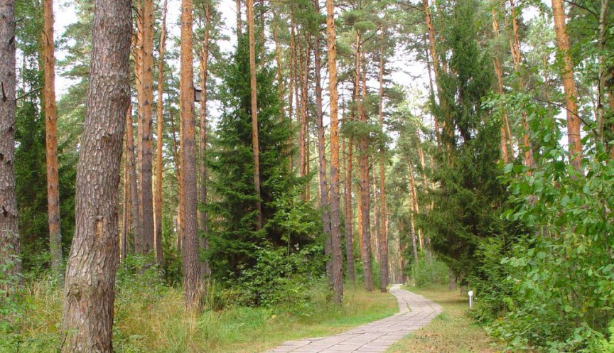 aaa