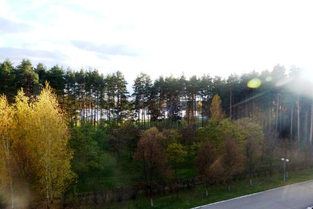 aaa